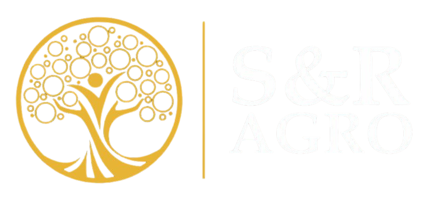 LOGO S&R Engenharia de segurança